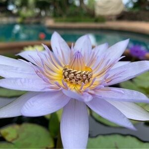 9k Gold Vintage Keeper Band Ring - Size 6.75